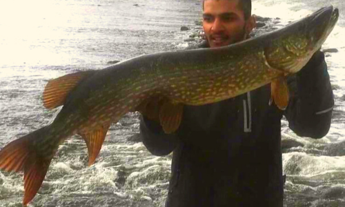 Pike Fishing Ireland
