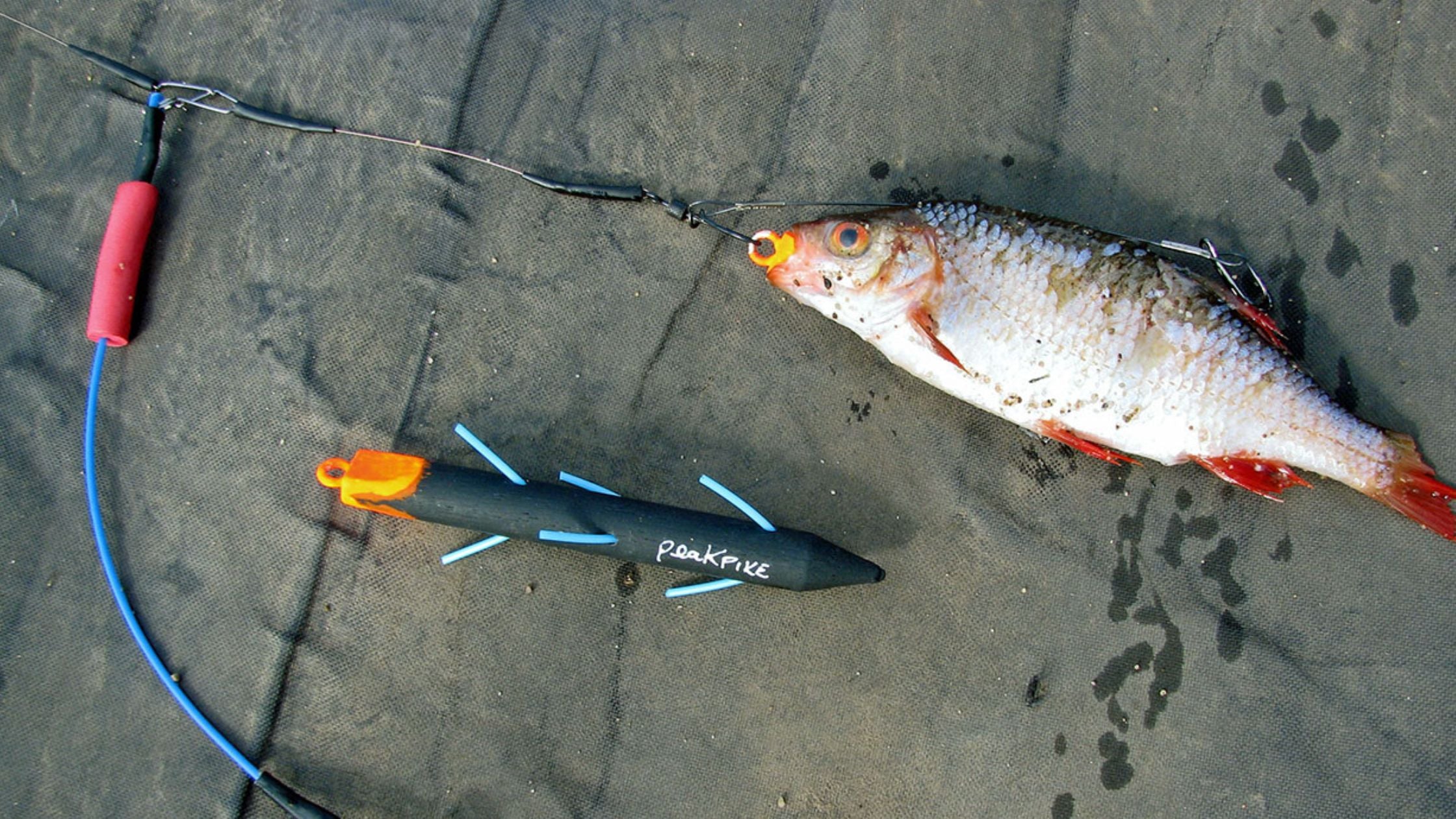 dead fish lure KANAMA Smart Bait Waterproof Electric Robotic Bionic Lure, Auto-Swimming Revives Bait for Freshwater/Saltwater Fishing, Rechargeable Electric Fishing Gear, One Set : Sports & Outdoors Striper Imitates Wounded Baitfish Deadbait Fishing Tackle: A Comprehensive
