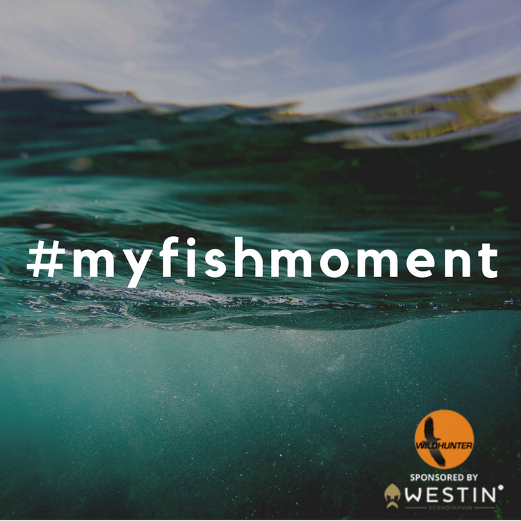 Fish of the month