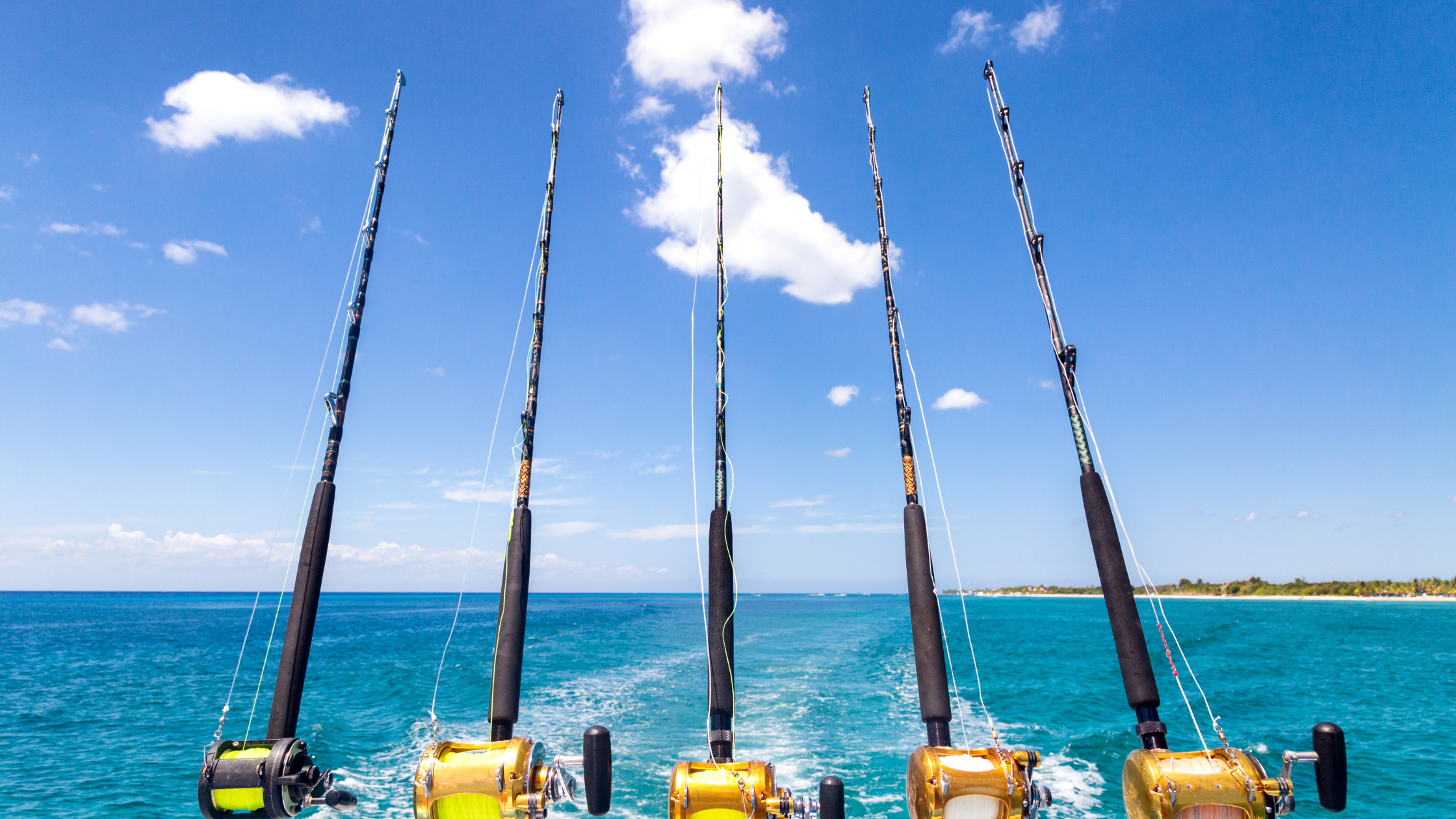 deep sea fishing reel and rod Dr.Fish Surf Combo, Saltwater Fishing Gear Set, 12ft Surf Rod 9000 Spinning Reel 9+1 BB, Offshore Spinning Pole Kit Equipment Set Striper Pompano Flounder : Sports 7+1 Ball Bearings Dr.Fish Surf Fishing Spinning Rod