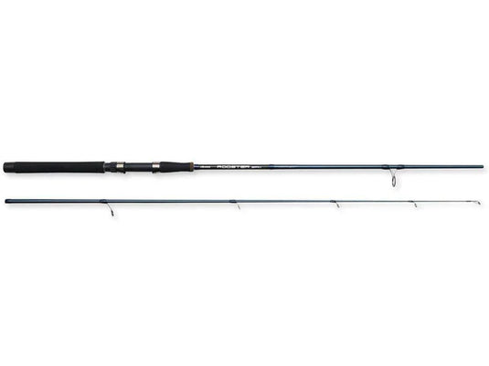 Spinning Rods