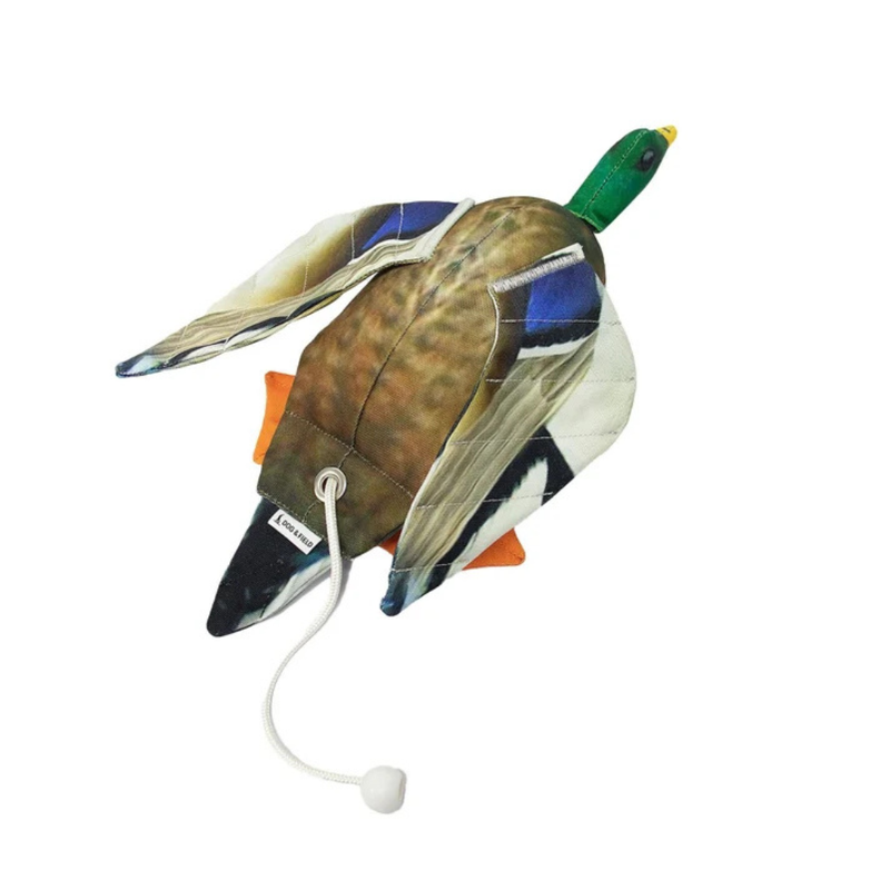Load image into Gallery viewer, Mallard | Dead Bird Dummy