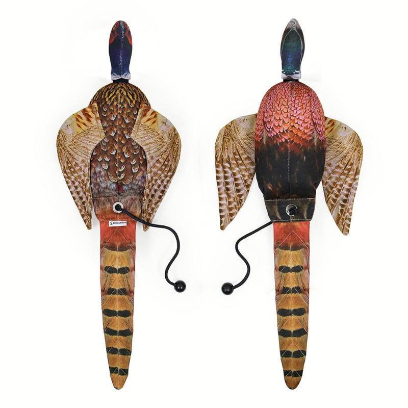 Load image into Gallery viewer, Cock Pheasant | Dead Bird Dummy