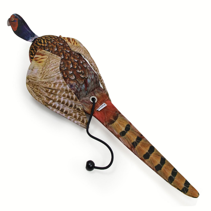Load image into Gallery viewer, Cock Pheasant | Dead Bird Dummy