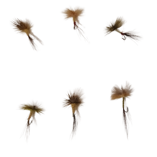 Mayfly Mixture x5 Flies €10 - Fly Fishing Flies