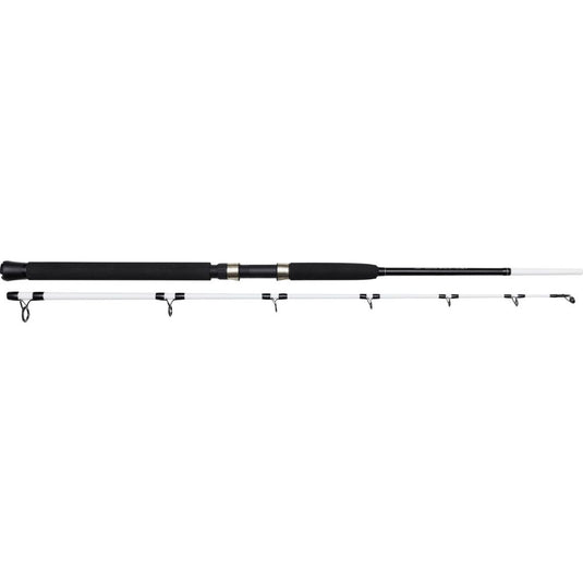 Kinetic | Witcher Salt CC Sea Rod | 2sec - Sea Fishing Rods