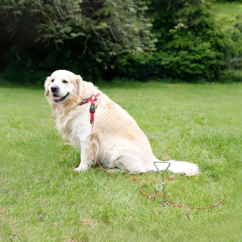 Load image into Gallery viewer, Streetwize | Dog Anchor/Screw Peg with Tether - Dog Accessories