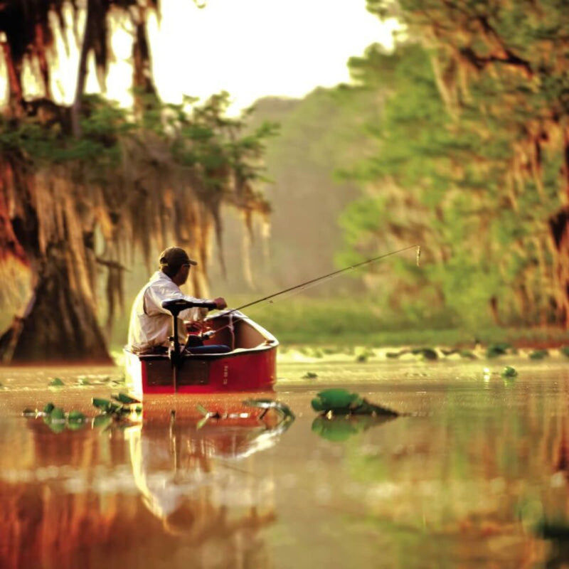 Load image into Gallery viewer, Minn Kota | Endura C2 30lb Thrust 12V 30" Shaft w/Battery Meter - Electric Engines