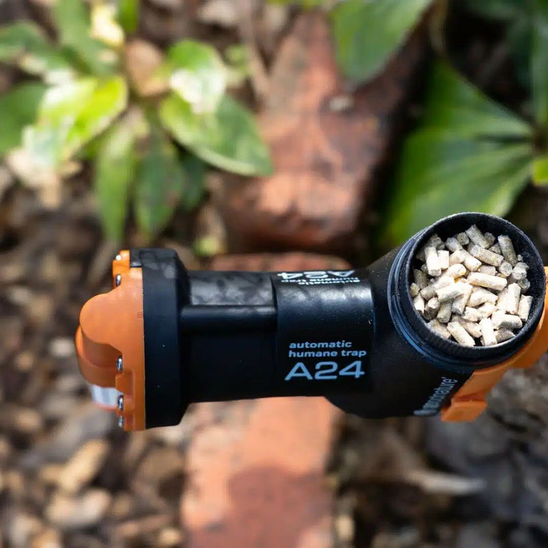 Load image into Gallery viewer, Goodnature | A24 Rat & Mouse Starter Kit - Traps