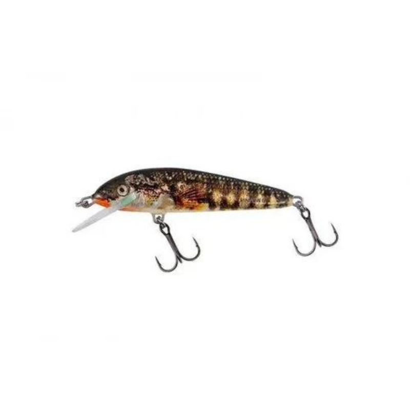 Load image into Gallery viewer, Salmo | Minnow Crank | Sinking | 5cm - Wobblers & Crankbaits
