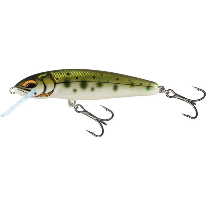 Load image into Gallery viewer, Salmo | Minnow | Floating | 5cm | 3g - Wobblers & Crankbaits