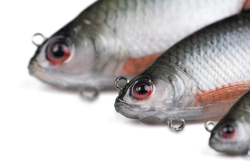 Load image into Gallery viewer, Fox Rage | Ultra-Realistic Roach Replicant - Swimbait Lures