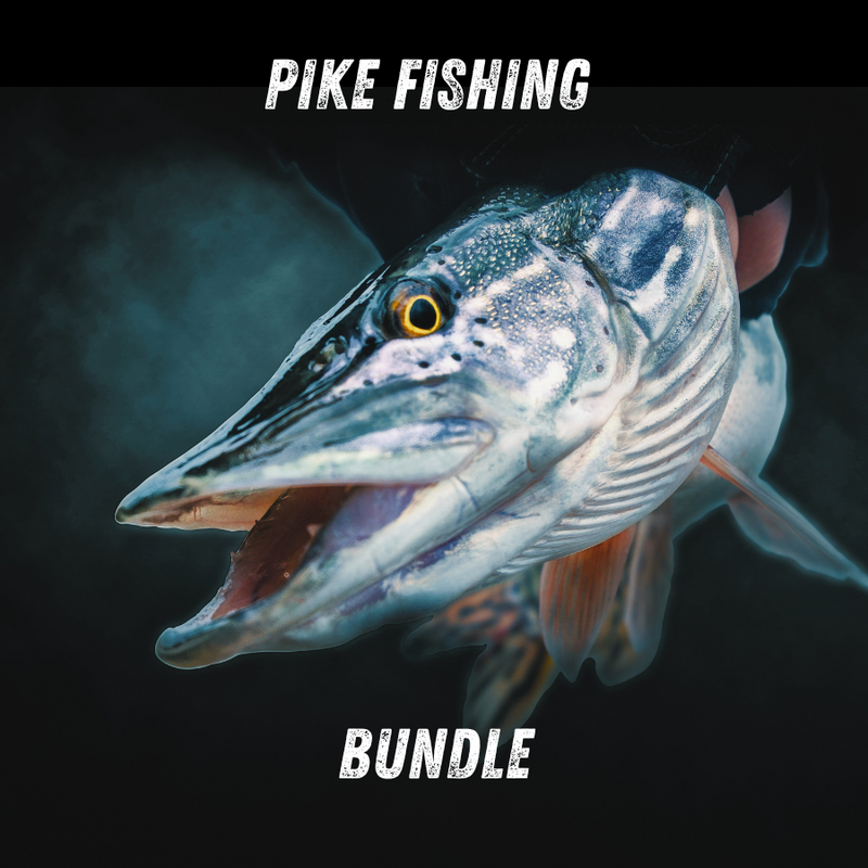 Load image into Gallery viewer, Wildhunter Sniper Rod Fathers Day Deal - Trigger/Casting Rods