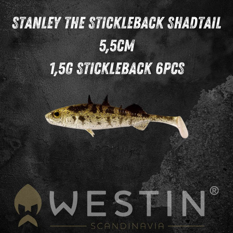 Load image into Gallery viewer, Westin | Black Friday Deal | Deal 3 - Westin Black Friday Bundle