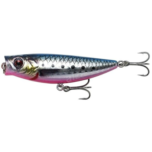 Wildhunter.ie - Savage Gear | 3D Minnow Pop Walker | 5.5cm | 6g -  Sea Fishing Lures
