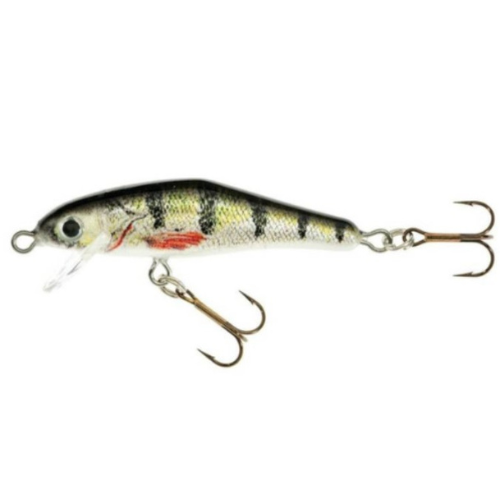 Load image into Gallery viewer, Wildhunter.ie - Jaxon | Holo Select Floating Wobbler | 6cm | 3.5g -  Wobbler Lures