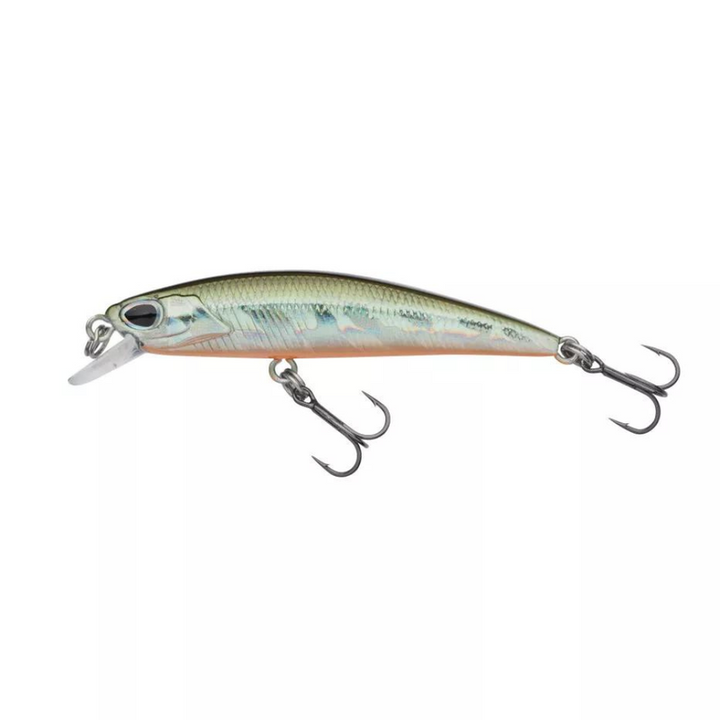 Load image into Gallery viewer, Berkley | Dex Bullet Jerk Lure | 6.5cm - Wobblers & Crankbaits