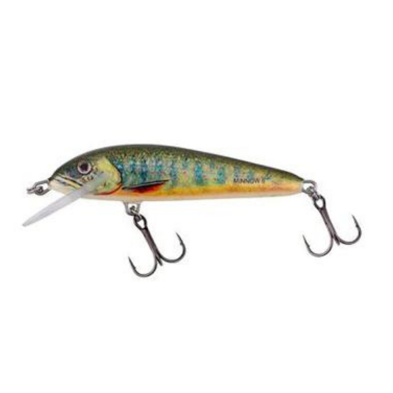 Load image into Gallery viewer, Salmo | Minnow | Floating | 5cm | 3g - Wobblers & Crankbaits