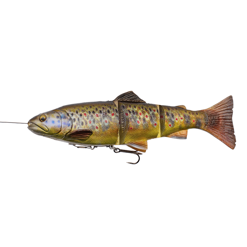 Load image into Gallery viewer, Wildhunter.ie - Savage Gear | 4D Linethru Trout | Slow Sinking | 180g | 25cm - Predator Lures