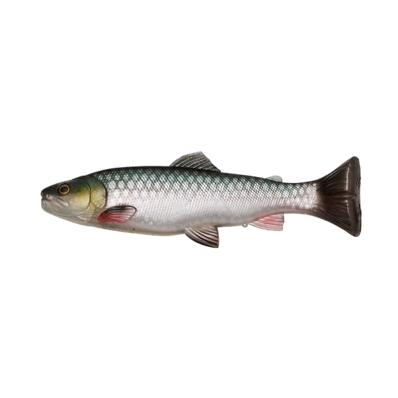 Load image into Gallery viewer, Wildhunter.ie - Savage Gear | 3D Craft Trout Pulsetail | 104g | 20cm - Predator Lures
