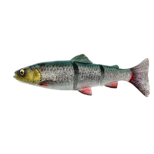 Wildhunter.ie - Savage Gear | 4D Linethru Trout | Sinking | 193g | 25cm -  Predator Lures