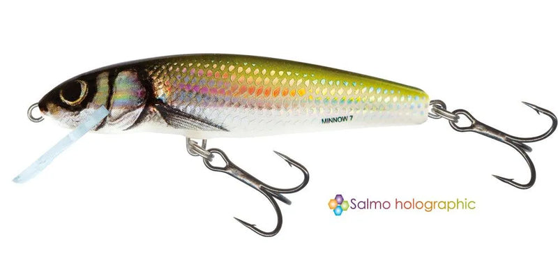 Load image into Gallery viewer, Wildhunter.ie - Salmo | Minnow Crank | Sinking | 5cm -  Trout/Salmon Lures