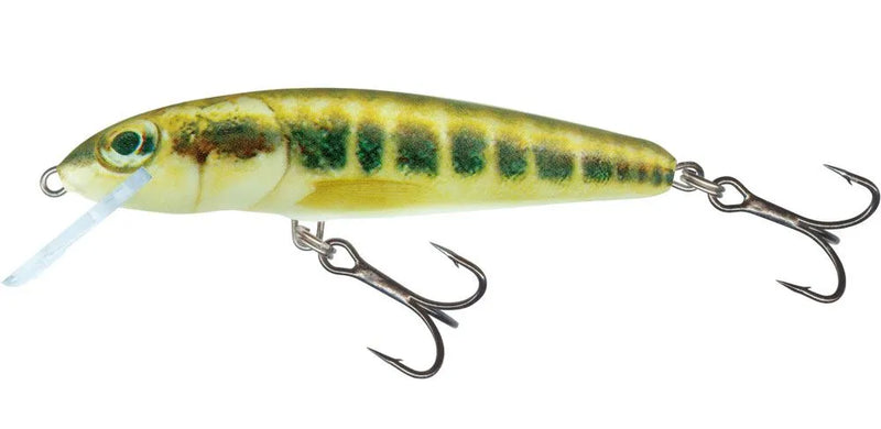Load image into Gallery viewer, Wildhunter.ie - Salmo | Minnow Crank | Sinking | 5cm -  Trout/Salmon Lures
