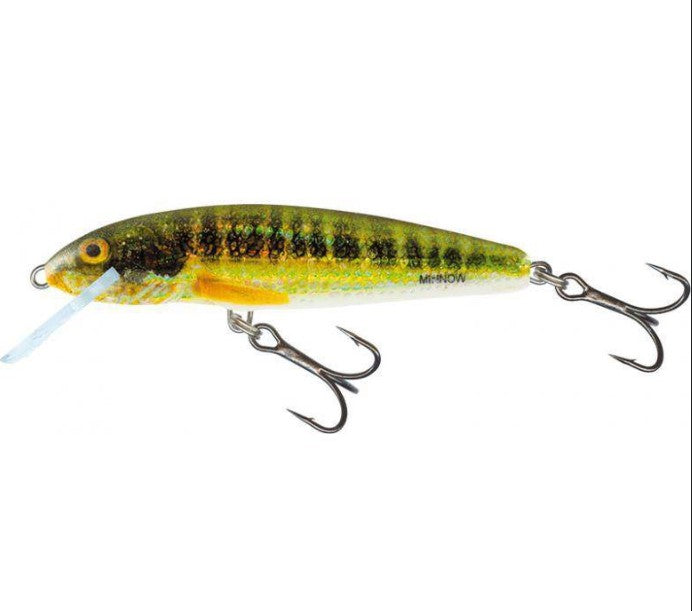 Load image into Gallery viewer, Wildhunter.ie - Salmo| Minnow Sinking | 8g | 7cm -  Trout/Salmon Lures