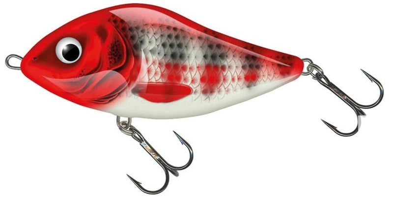 Load image into Gallery viewer, Wildhunter.ie - Salmo | Slider | Floating | 10cm | 36g - Predator Lures