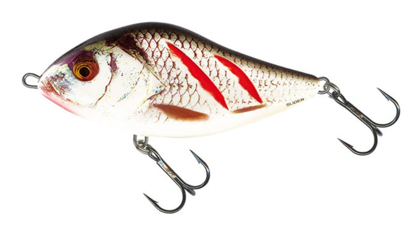 Load image into Gallery viewer, Wildhunter.ie - Salmo | Slider | Floating | 10cm | 36g - Predator Lures
