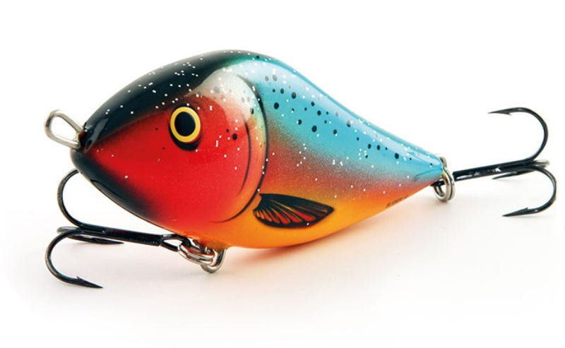 Load image into Gallery viewer, Wildhunter.ie - Salmo | Slider | Floating | 10cm | 36g - Predator Lures