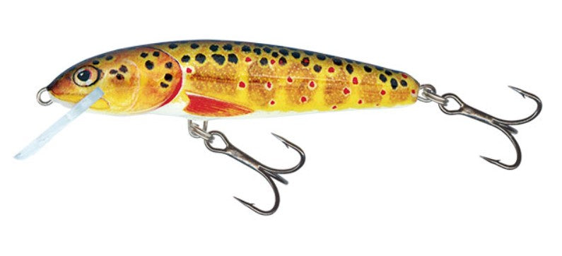 Load image into Gallery viewer, Wildhunter.ie - Salmo | Minnow | Floating | 7cm | 6g -  Trout/Salmon Lures