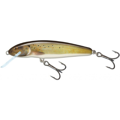 Load image into Gallery viewer, Wildhunter.ie - Salmo | Minnow | Floating | 5cm | 3g -  Wobbler Lures
