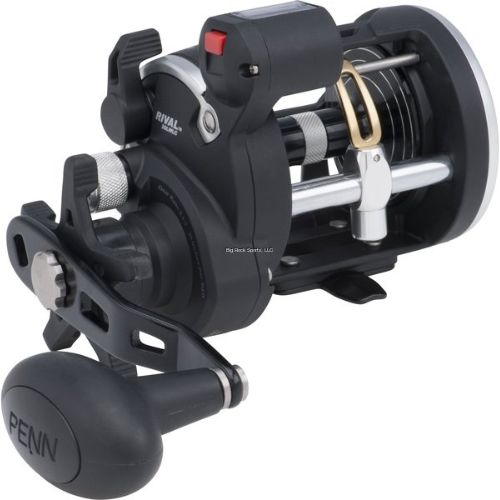 Wildhunter.ie - Penn | RIVAL Level Wind Line Counter Reel | 5.1:1 -  Sea Fishing Reels