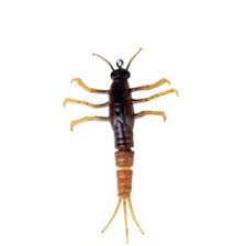 Load image into Gallery viewer, Wildhunter.ie - Savage Gear | 3D TPE Mayfly Nymph | 5cm 2.5gm - Trout/Salmon Lures