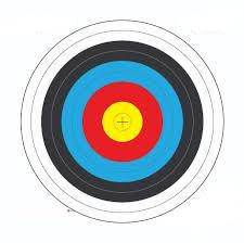 Wildhunter.ie - Archery Target | Large | 80 cm | Per Target -  Archery Accessories 