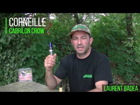 Load and play video in Gallery viewer, Helen Baud | Crow Call