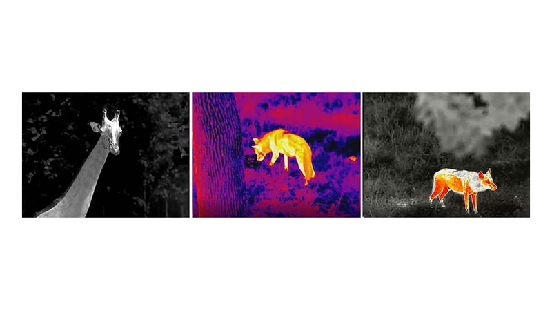 Load image into Gallery viewer, Wildhunter.ie - InfiRay | C2w Thermal Monocular - Night & Thermal Accessories