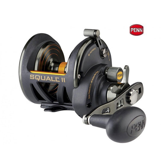 Wildhunter.ie - Penn | Squall II 30 Level Wind Boat Reel -  Sea Fishing Reels