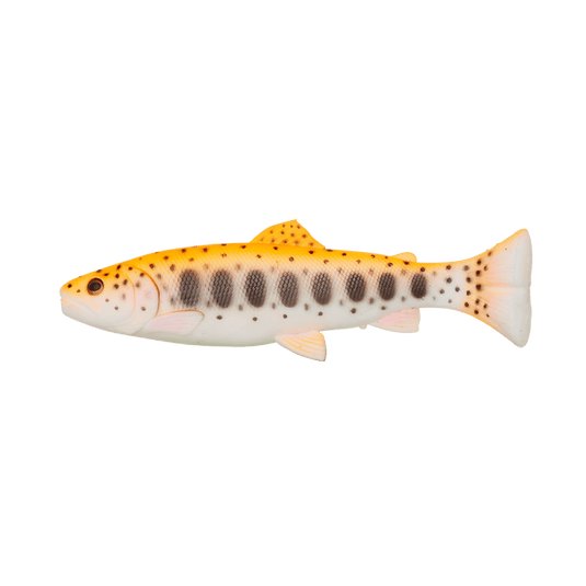 Wildhunter.ie - Savage Gear | 3D Craft Trout Pulsetail | 104g | 20cm -  Predator Lures