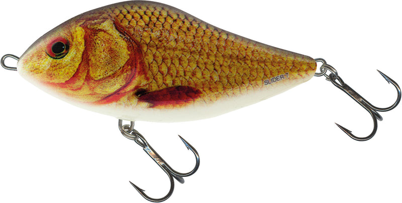 Load image into Gallery viewer, Wildhunter.ie - Salmo | Slider | Floating | 10cm | 36g - Predator Lures