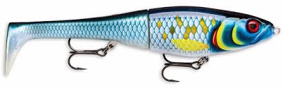 Load image into Gallery viewer, Wildhunter.ie - Rapala | X-Rap Peto | Slow Sinking | 14cm - Predator Lures