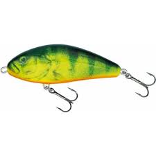 Load image into Gallery viewer, Wildhunter.ie - Salmo Fatso | Freshwater | Floating | 85g | 14cm - Predator Lures