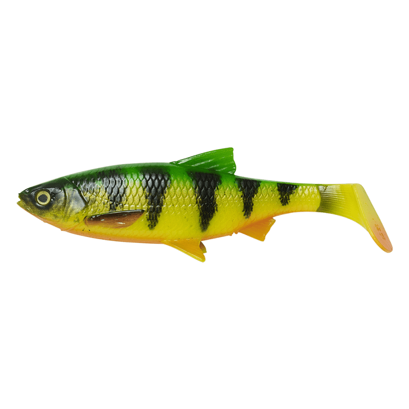 Load image into Gallery viewer, Wildhunter.ie - Savage Gear | 4D River Roach | 22cm | 125g | Single - Predator Lures