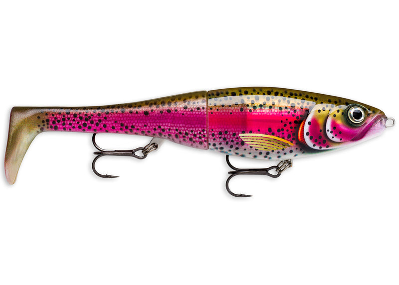 Load image into Gallery viewer, Wildhunter.ie - Rapala | X-Rap Peto | Slow Sinking | 20cm - Predator Lures