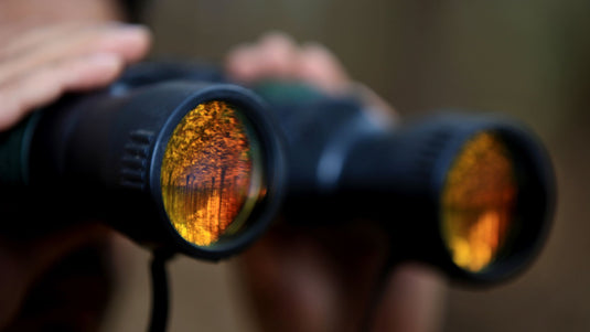 Exploring the World Through Binoculars: A Guide to Choosing the Perfect Pair