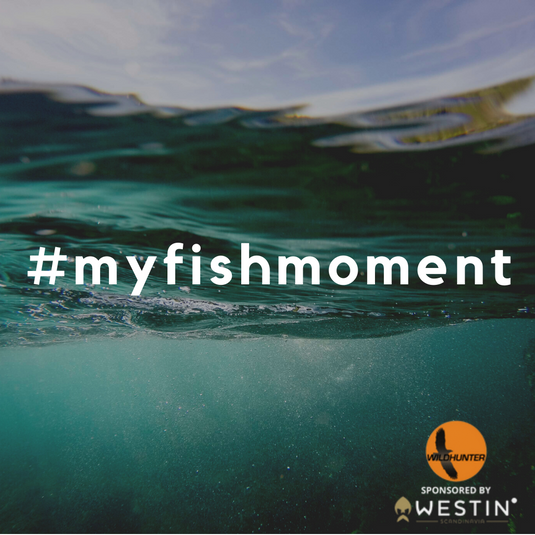 Fish of the month