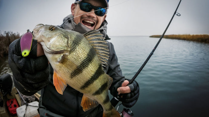 Fishing Jackets: Stay Dry and Comfortable on Your Next Angling Adventure