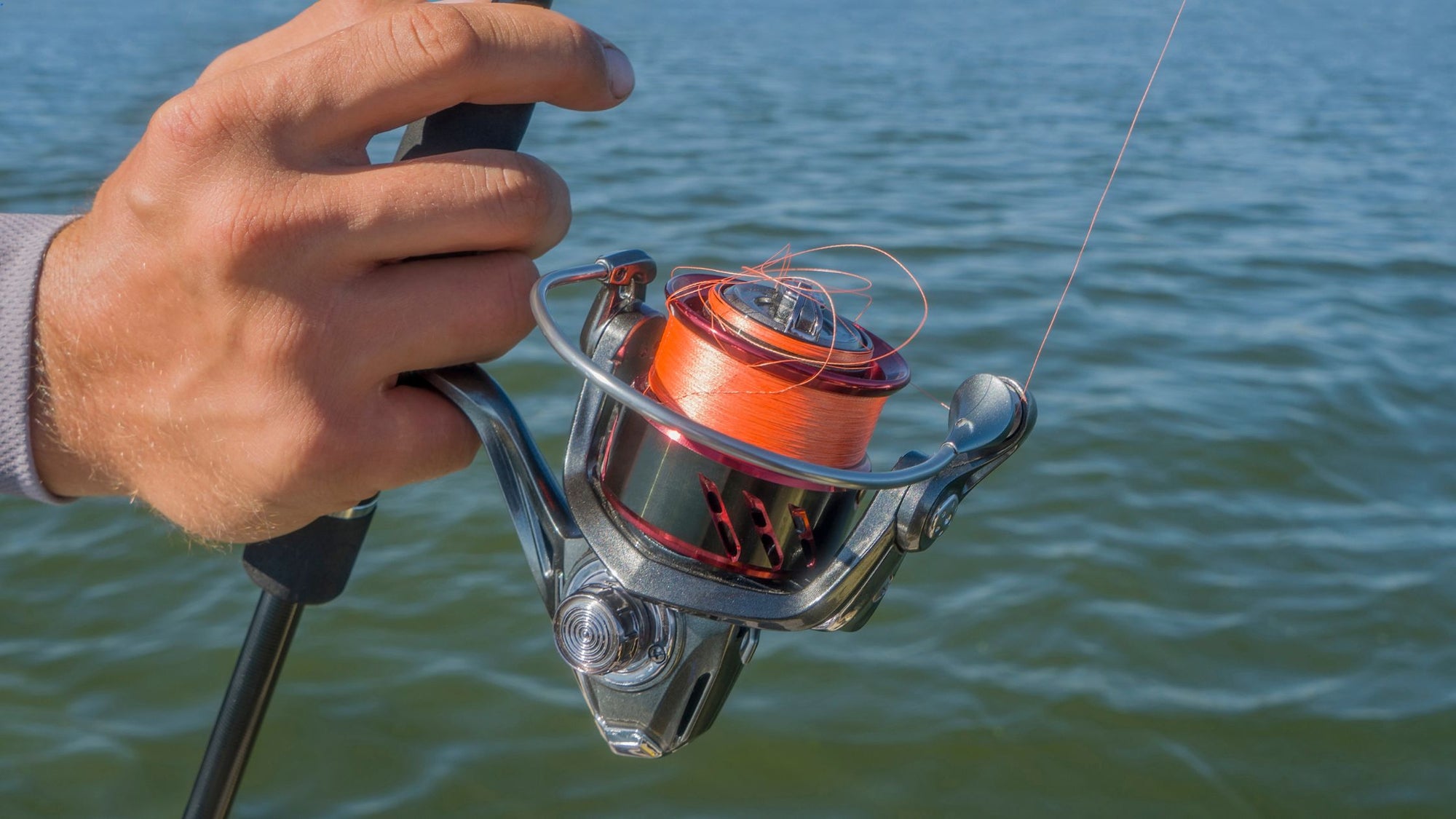 Fish Line Image Fishing Lines: Types and Uses – Wildhunter.ie