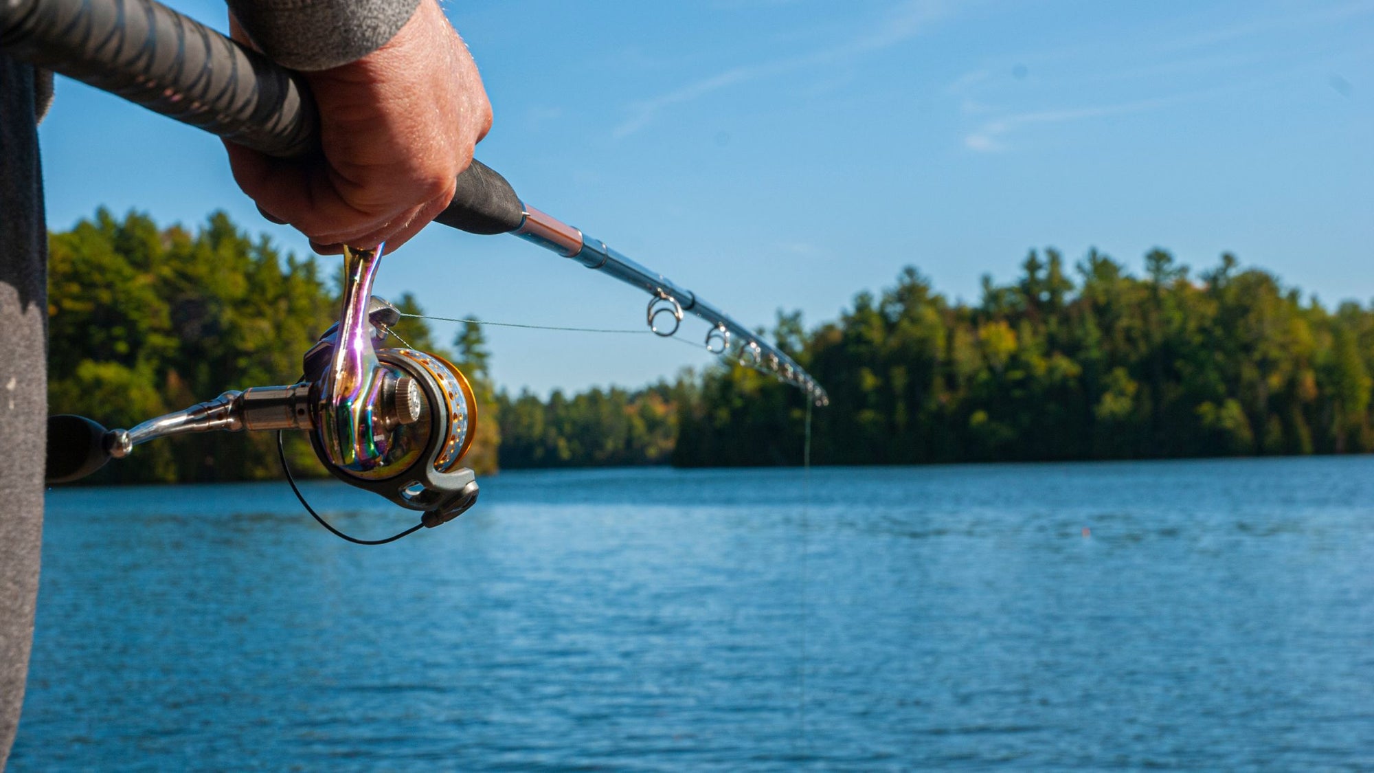 Fish Rod Types The Ultimate Guide to Fishing Rods: Types and Uses | Wildhunter.ie